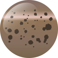 C223 極上粒あん