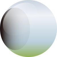 C224 ブラックヘッド