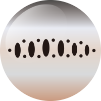 C232 晩秋ヤマメ