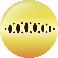 C235 チャートゴールドヤマメOB