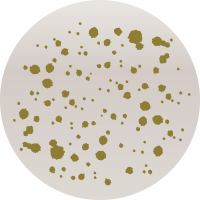 M075 マットグリーンスプラッシュグロー