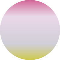 M127 スタージック