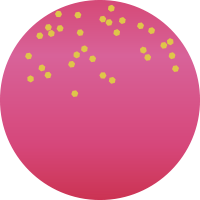 M171 ジャストショットピンク