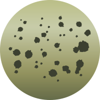 M177 ホッグアルジー