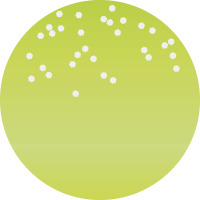 M181 ワラシナシューティングフルチャート