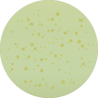 M217 完熟ピスタチオ