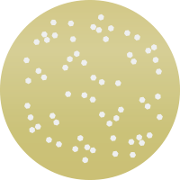 M249 夢幻トロピカル
