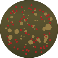 M251 マットメタルフルオリーブ