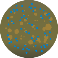 M257 マットメタルドロップ
