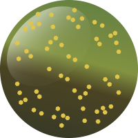 C205 マジックポイズン