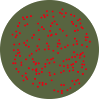 M143 アーミーレッドラメ
