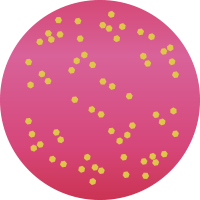 M171 ジャストショットピンク