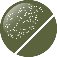 No.16 オリーブラメ