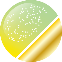 No.27 シャインライムゴールド