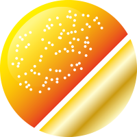 No.28 Rオレンジゴールド