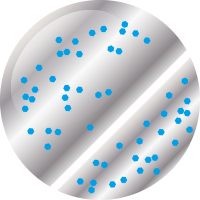 No.68 ゲレンデシークレット