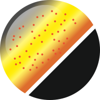 No.70 ラッシュチャート
