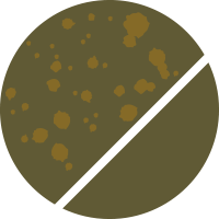 No.79 スプラッシュオリーブ