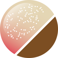 No.80 おいしい桃