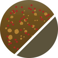 No.88 ソリッドメタルブラウン