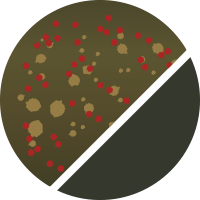 No.89 ソリッドメタルオリーブ
