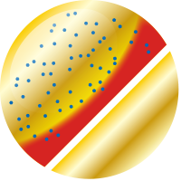 No.1 蛍光レッド／ゴールド