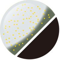 No.20 ホワイトブラウン/ブラック