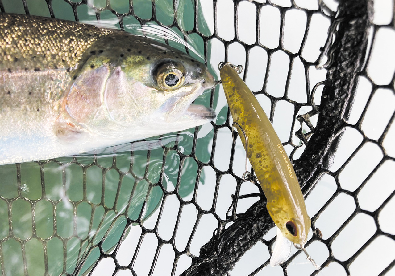 ポイントのイメージ画像