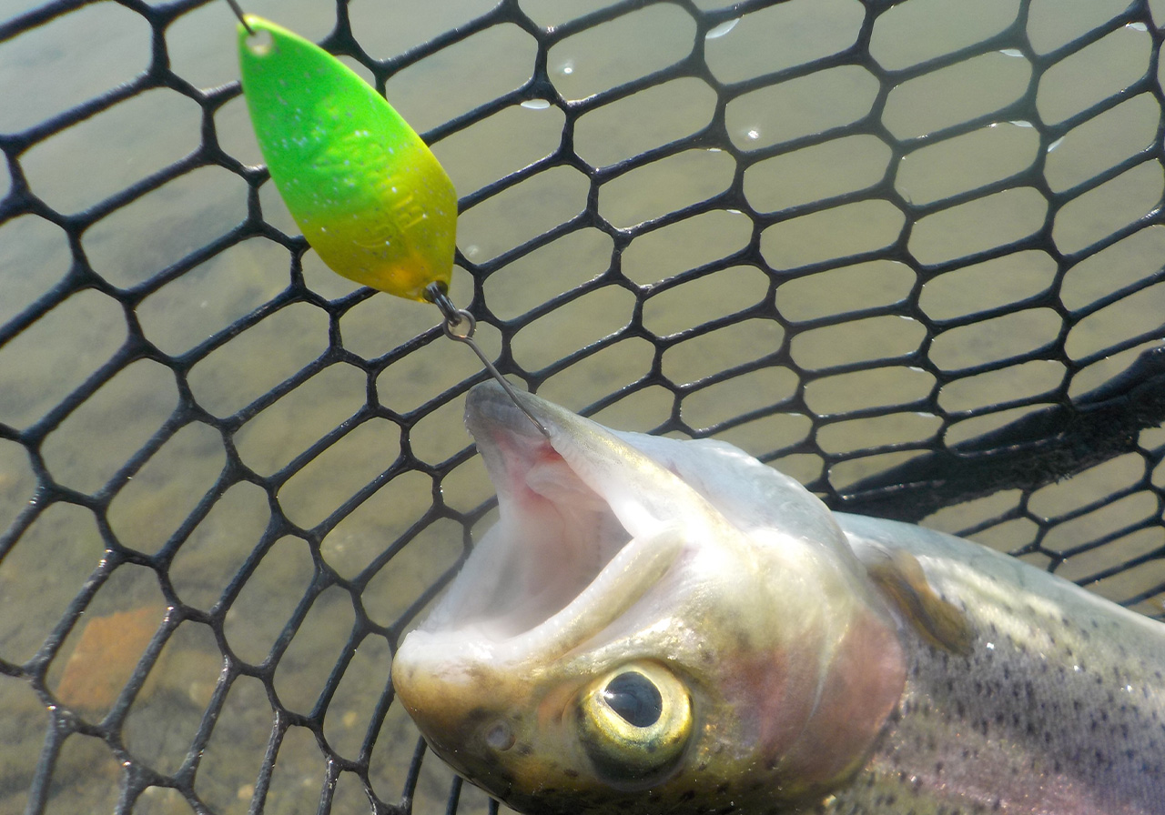 ポイントのイメージ画像