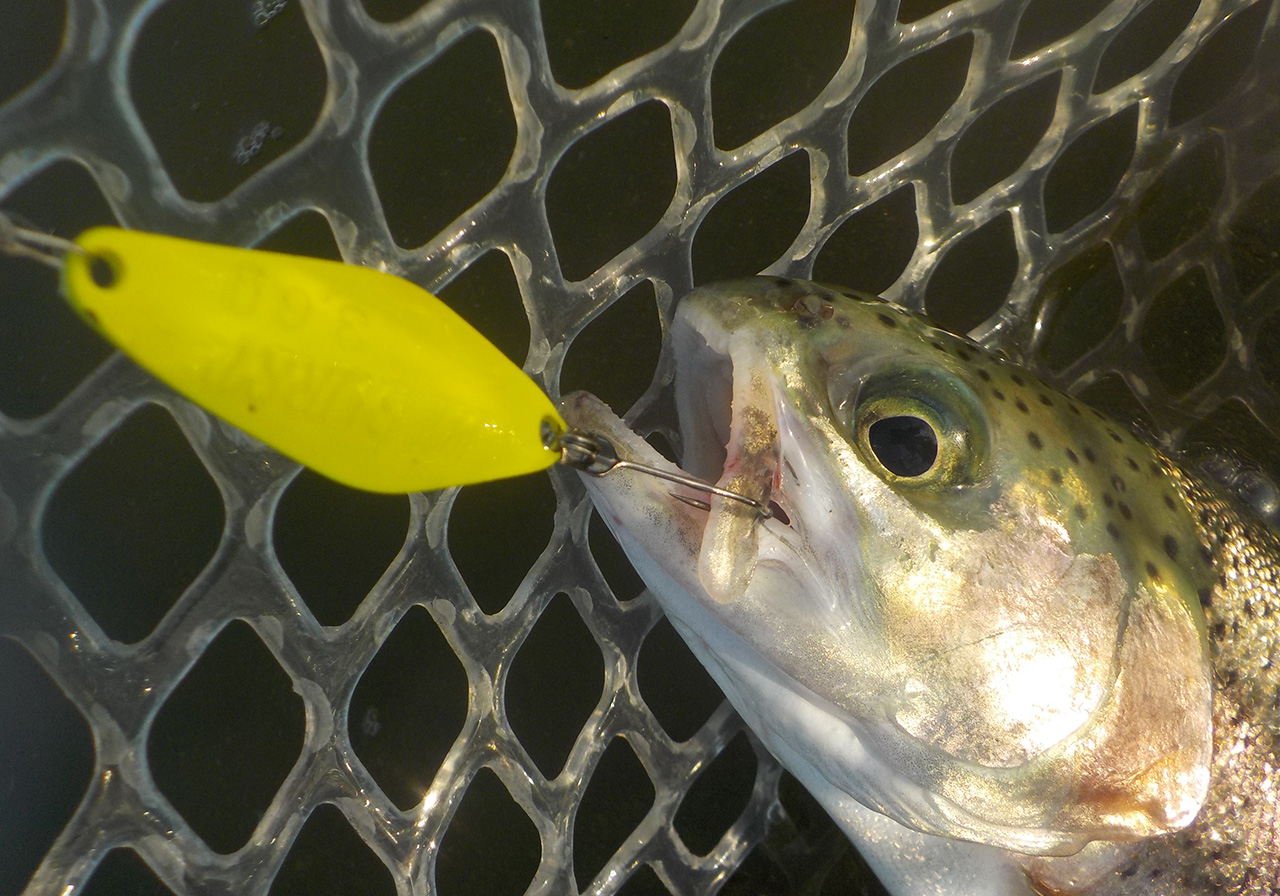 ポイントのイメージ画像