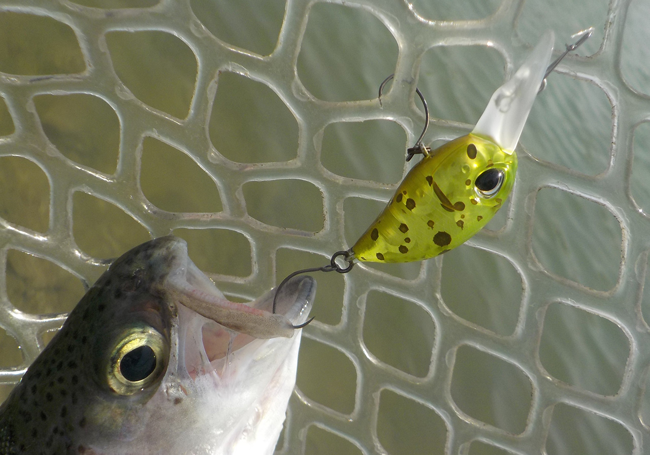 ポイントのイメージ画像