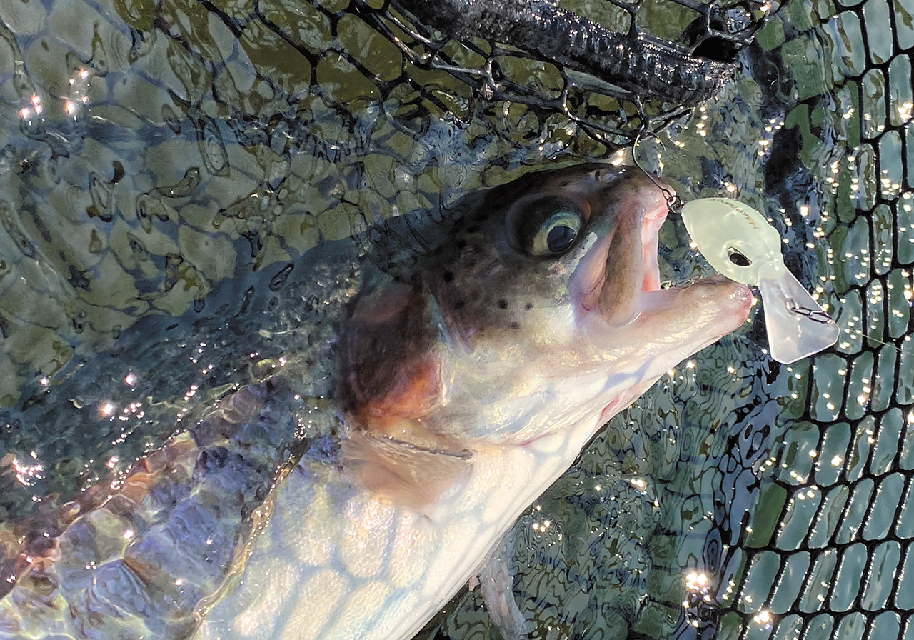 パフォーマンスのイメージ画像