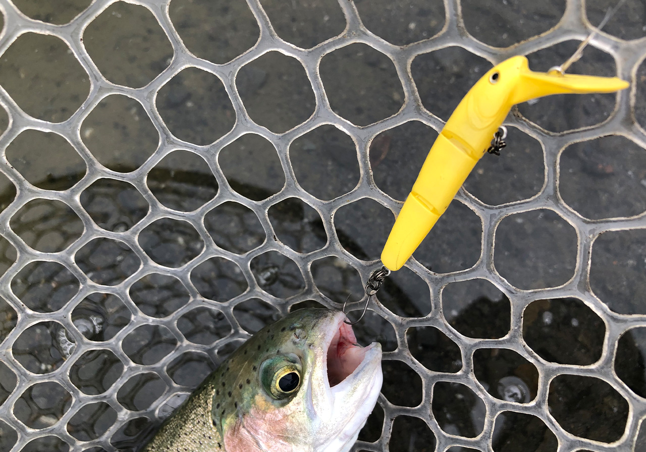 ポイントのイメージ画像