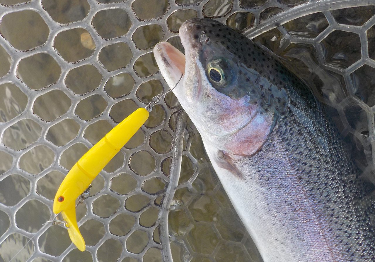 パフォーマンスのイメージ画像