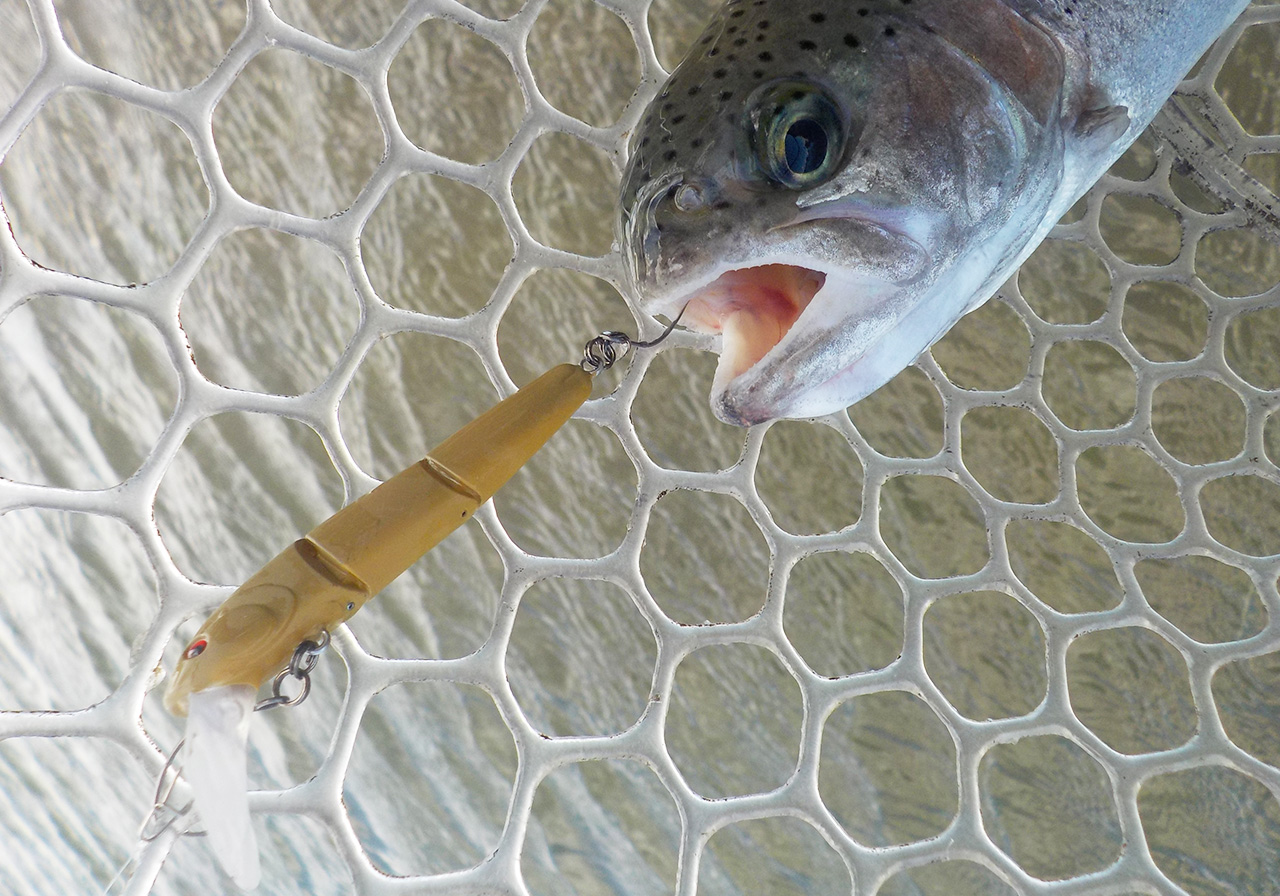 ポイントのイメージ画像