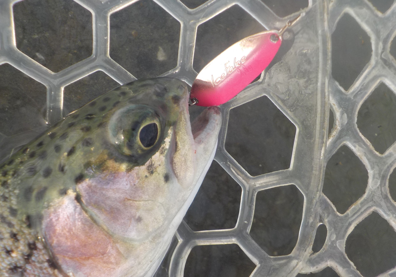 パフォーマンスのイメージ画像