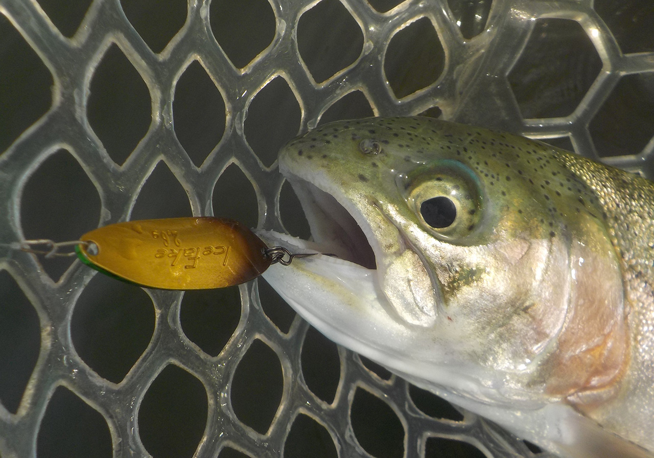 ポイントのイメージ画像