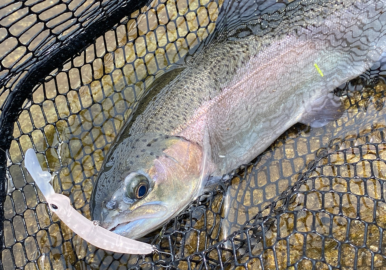 パフォーマンスのイメージ画像