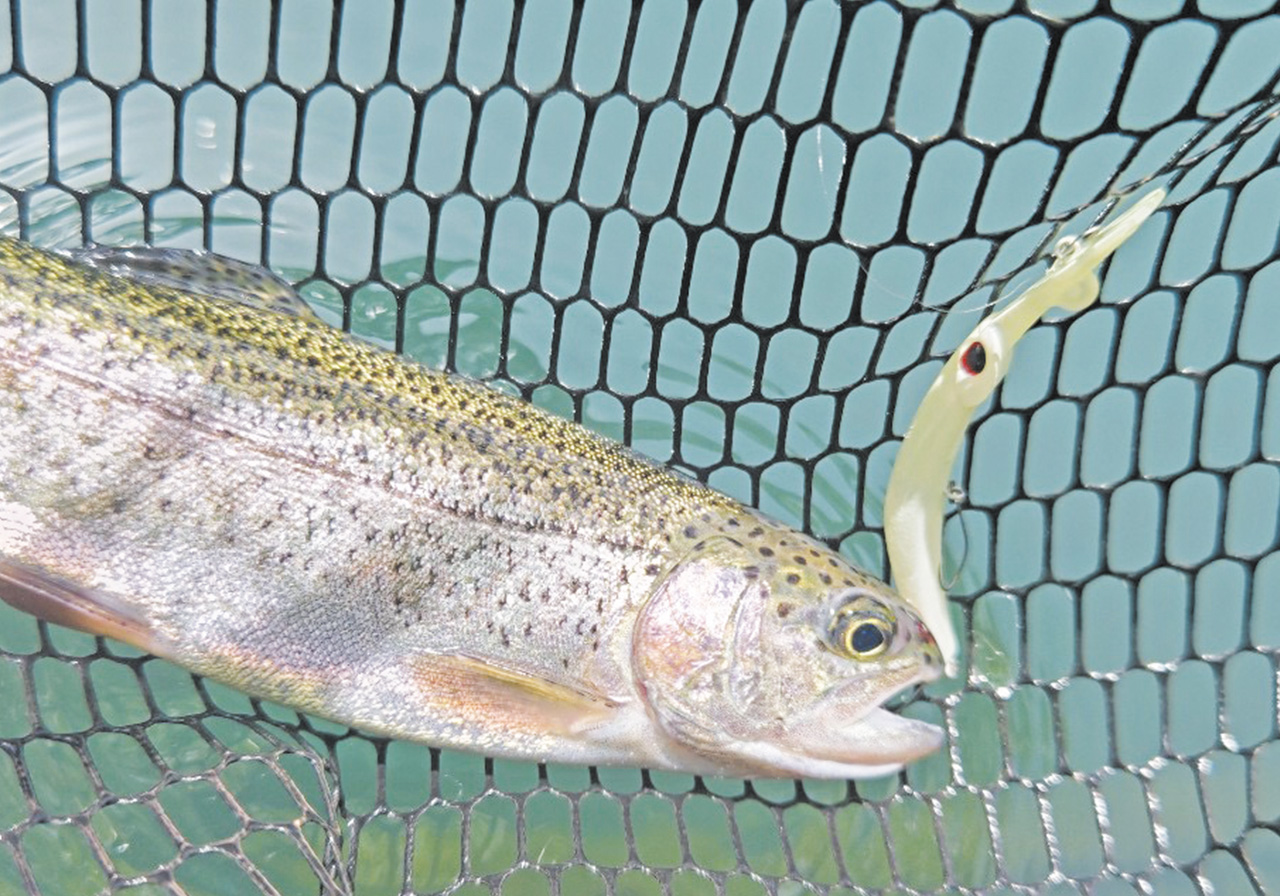 ポイントのイメージ画像