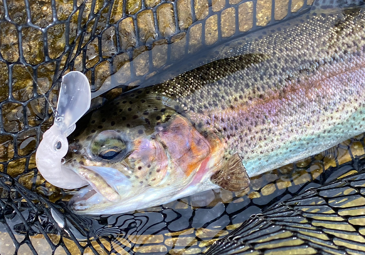 ポイントのイメージ画像