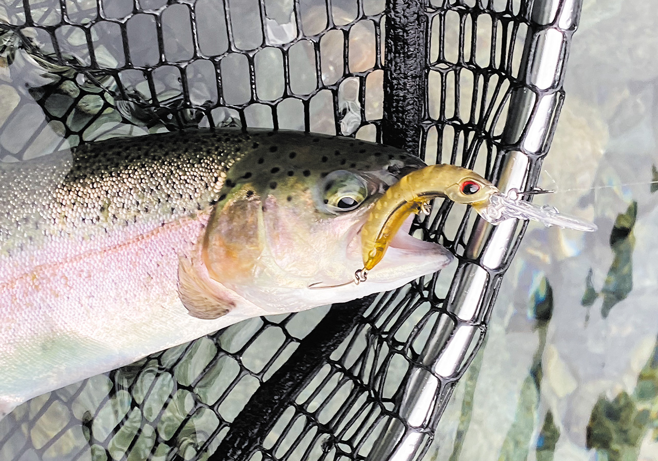 ポイントのイメージ画像