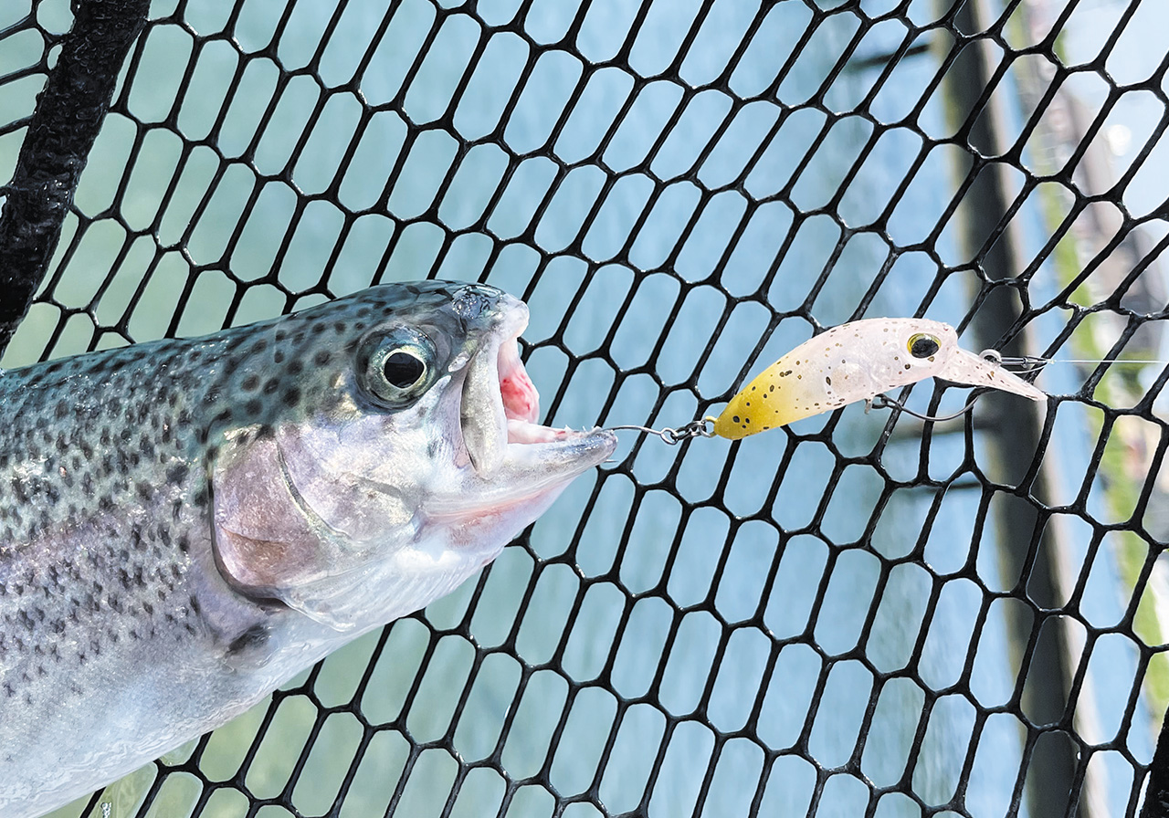 ポイントのイメージ画像