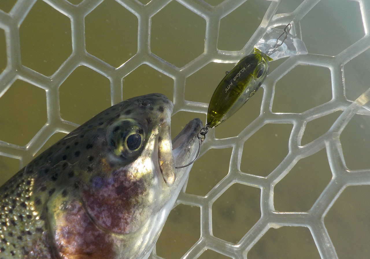 ポイントのイメージ画像