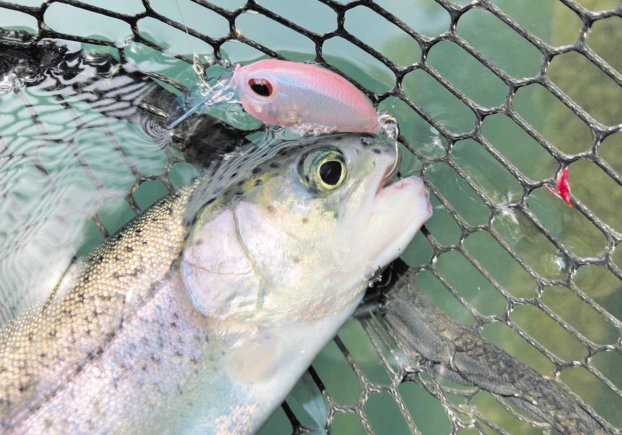 ポイントのイメージ画像