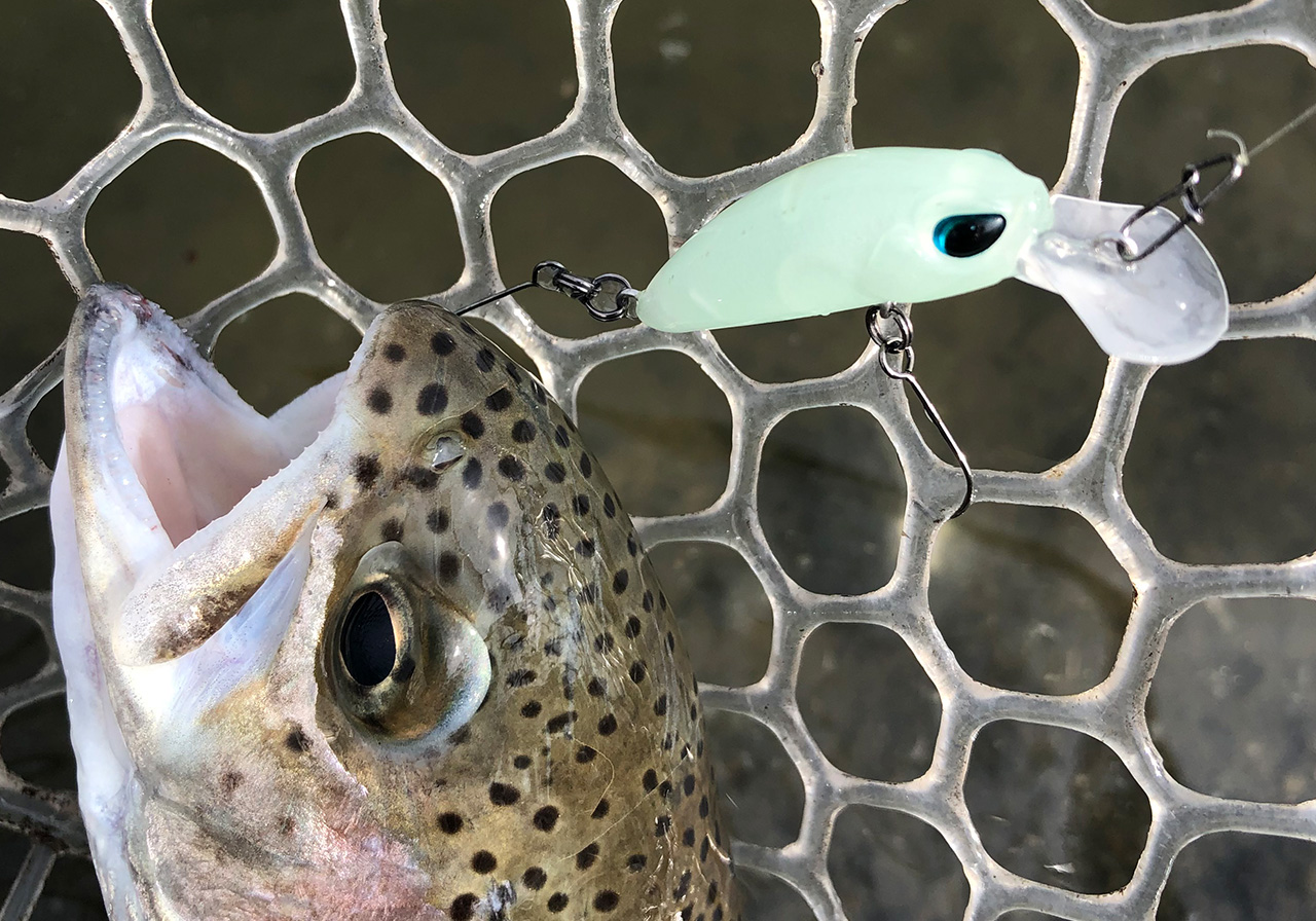 ポイントのイメージ画像