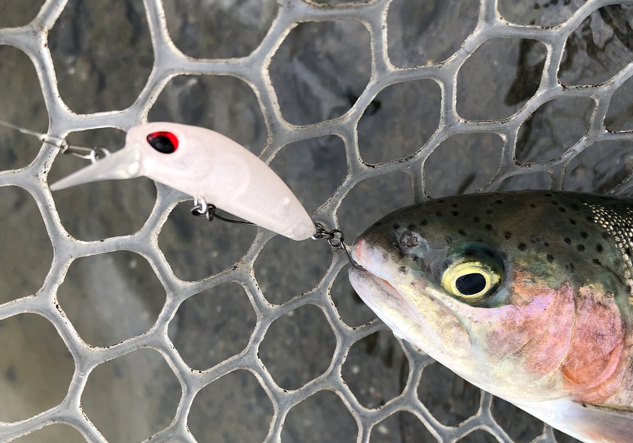 パフォーマンスのイメージ画像