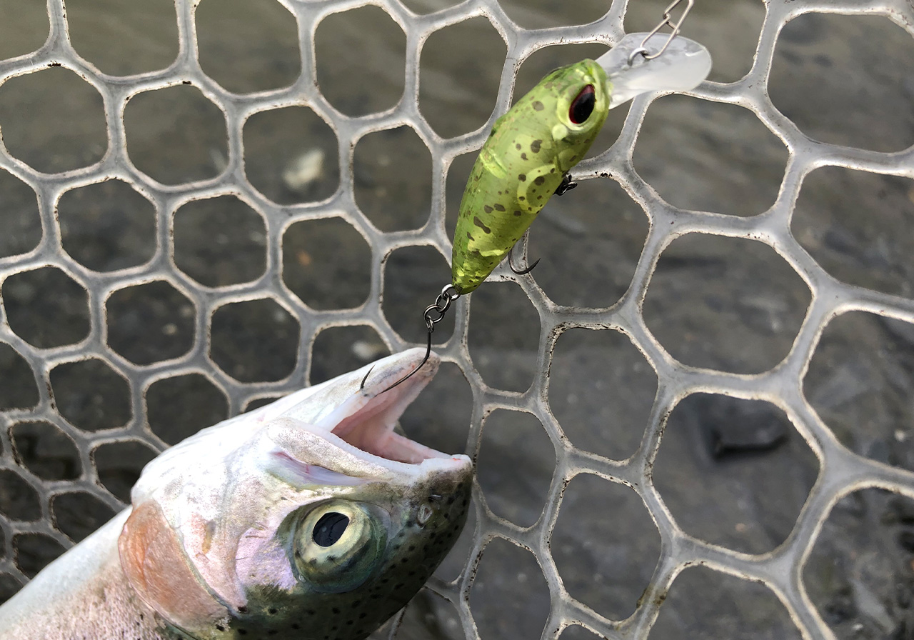 ポイントのイメージ画像