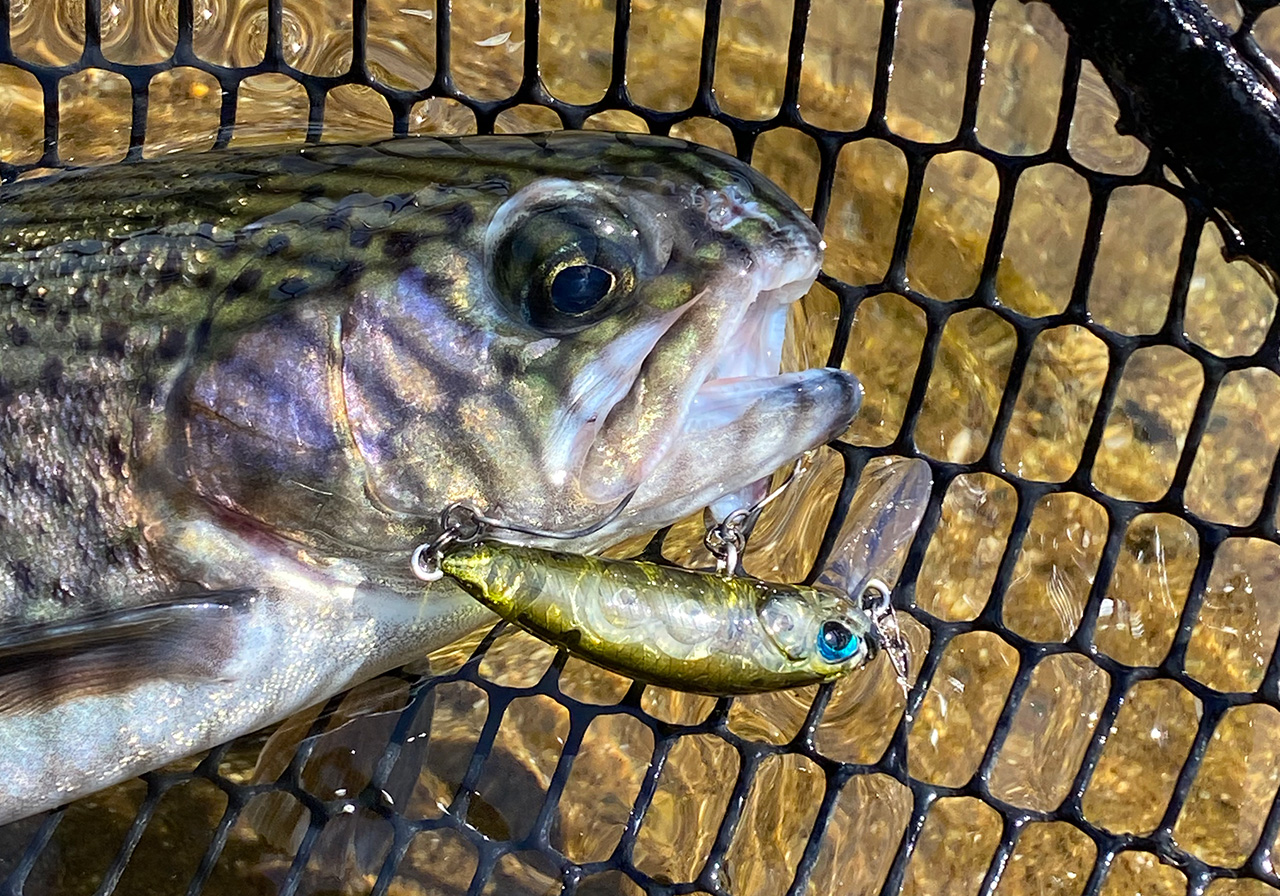 ポイントのイメージ画像