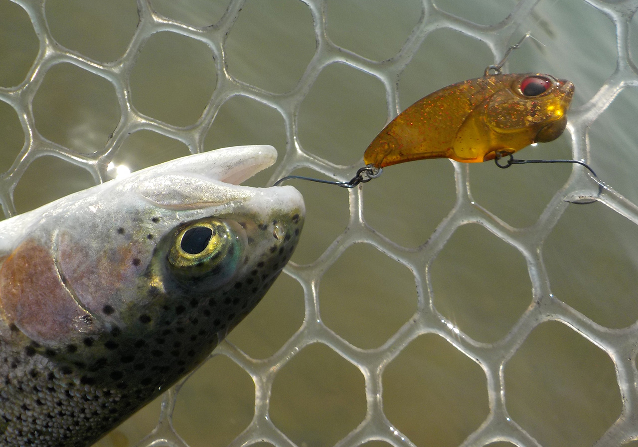 パフォーマンスのイメージ画像