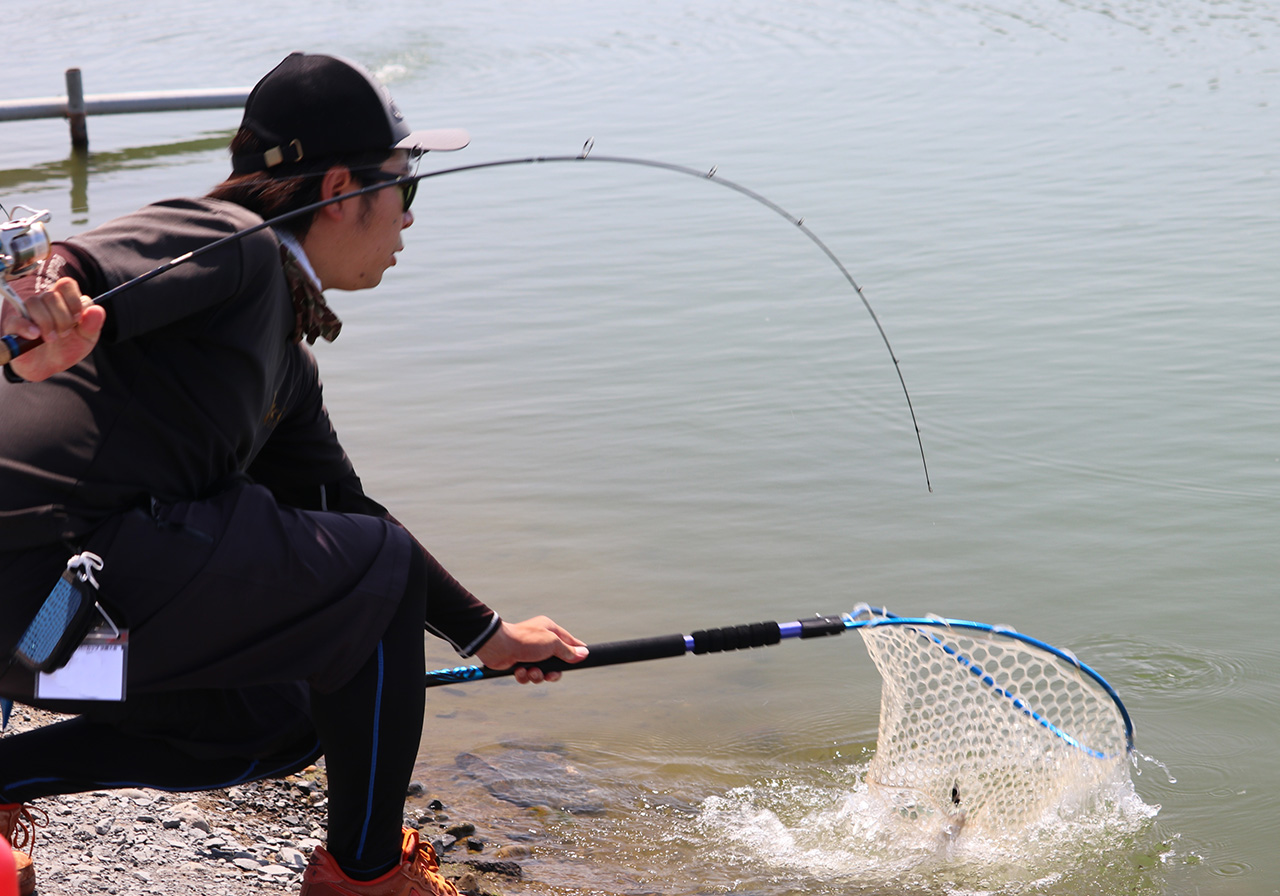 ポイントのイメージ画像